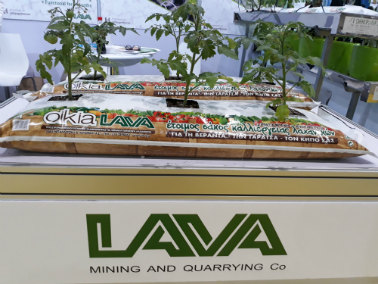 lava 2 small