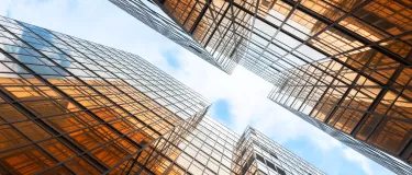 newsletter12-header-image 