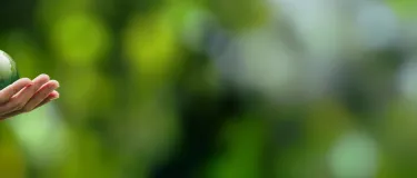 CO2 σε μεθανολη