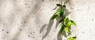 Banner Sustainability Report