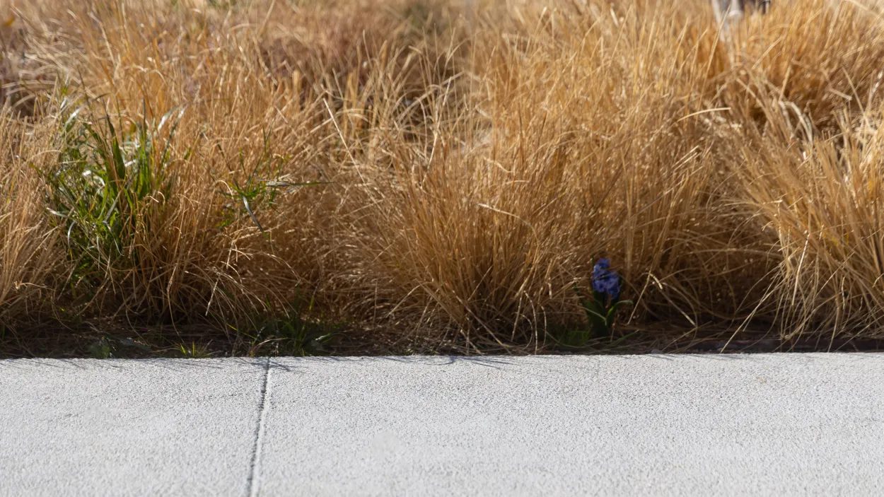 Artevia Stone code3 Moxy Hotel Athens