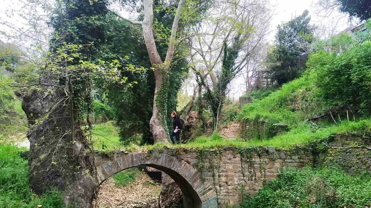 Το Μεγάλο Μονοπάτι του Πηλίου φωτογραφία 4