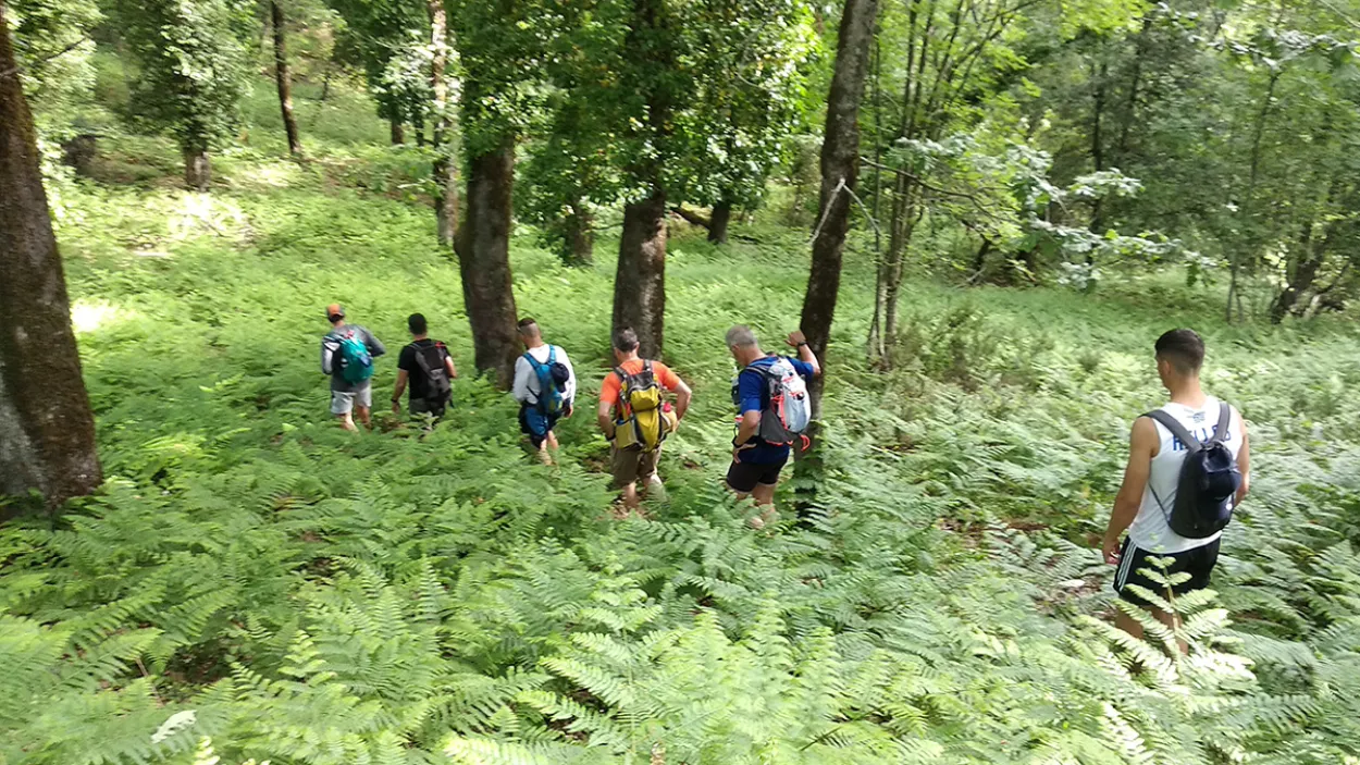 Το Μεγάλο Μονοπάτι του Πηλίου 4