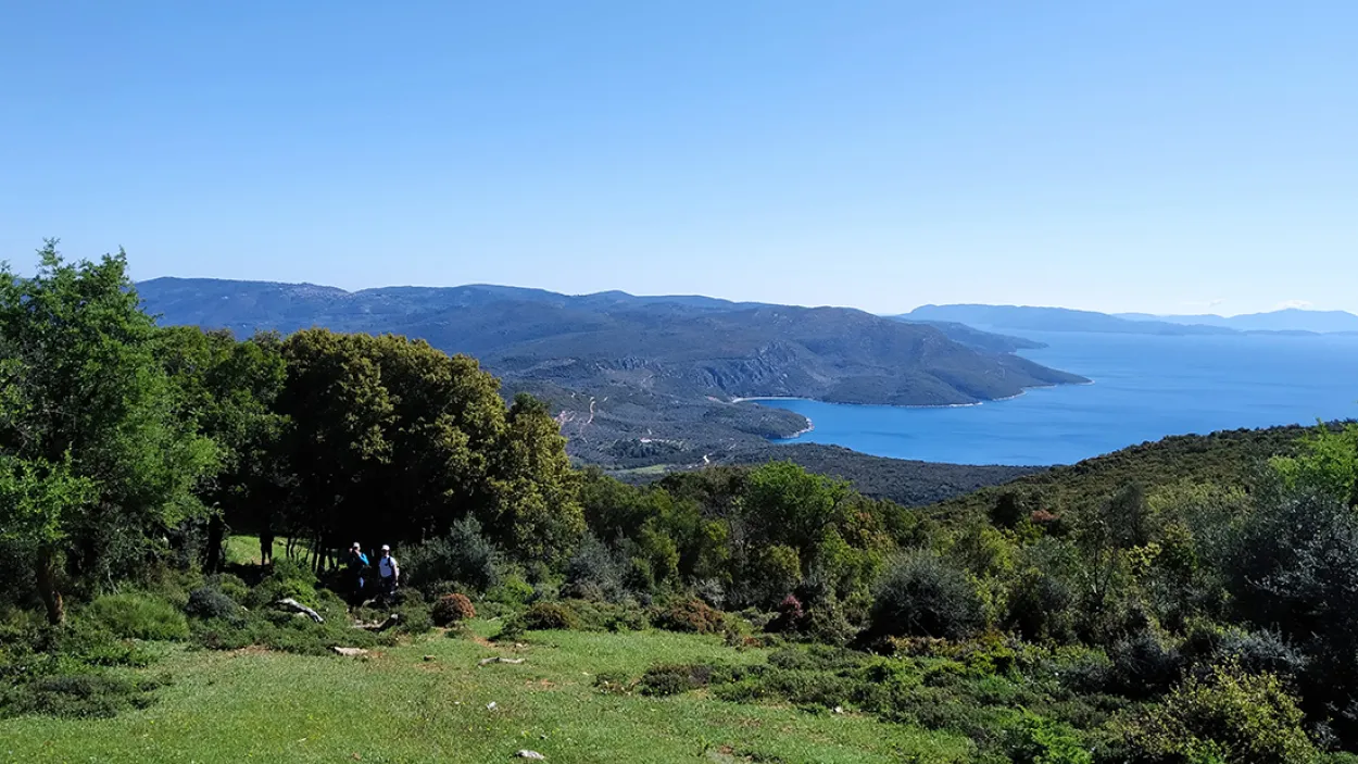 Το Μεγάλο Μονοπάτι του Πηλίου φωτογραφία 2