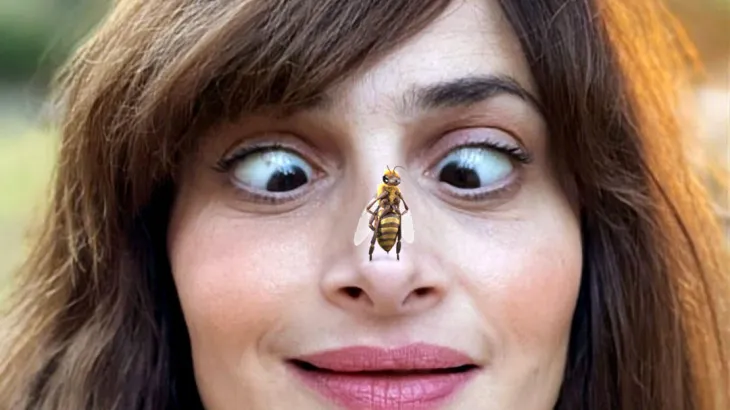 Melobee_Konstantakaki