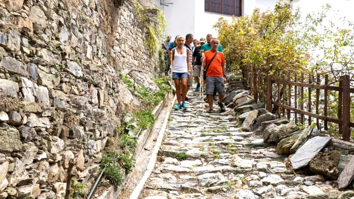 The Long Pelion Trail header photo