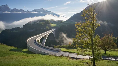 Newsletter#6_Tamina Bridge_Teaser box image