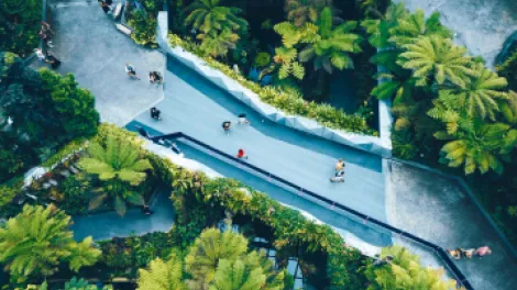 holcim_new_identity (1).png