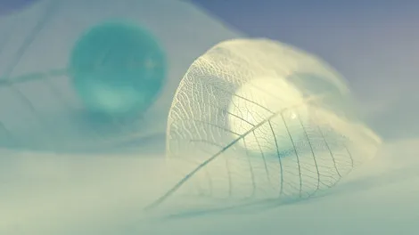 Heracles Footprint website update