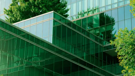 customer-newsletter no 13 header image 