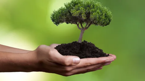 Βιοποικιλότητα