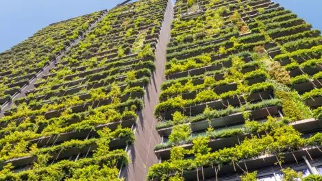 Πράσινες Λύσεις